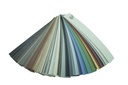 Paleta colores.jpg